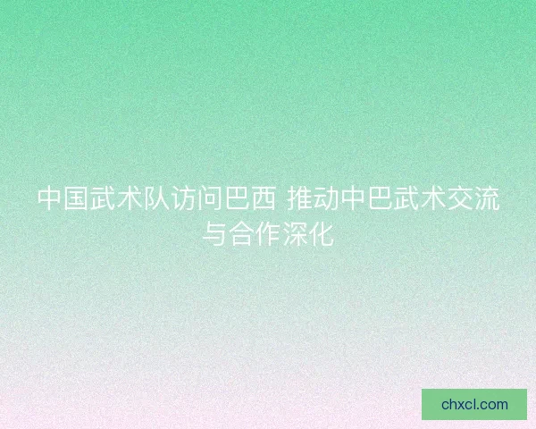 中国武术队访问巴西 推动中巴武术交流与合作深化